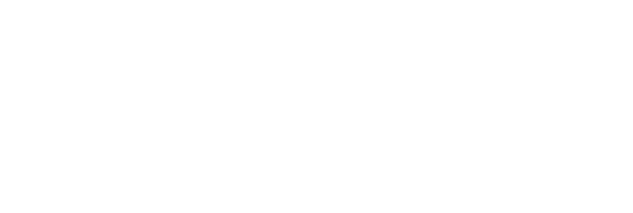 Zandolikoko - logo