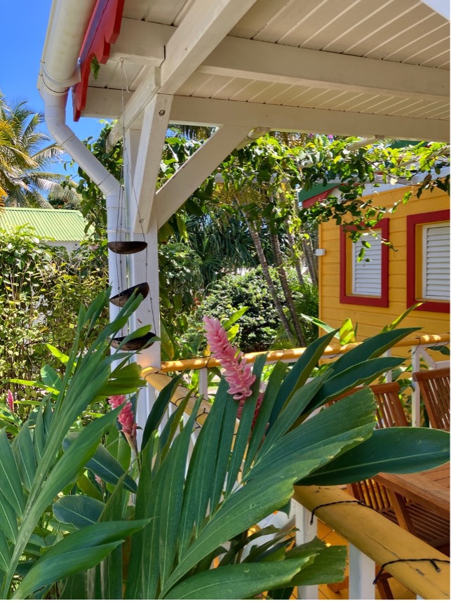 papaye gîte fleuri mangeoire oiseaux