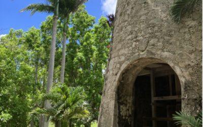 Visite de la distillerie Damoiseau