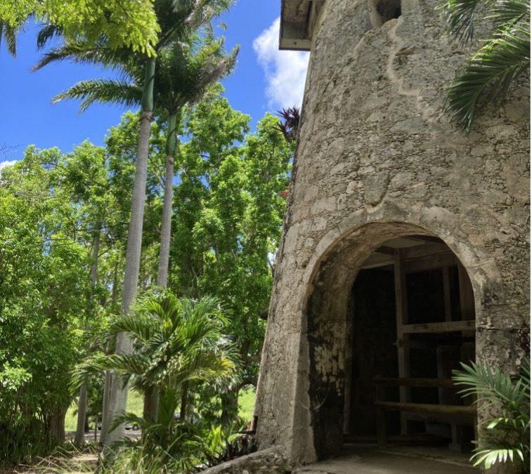 Visite de la distillerie Damoiseau