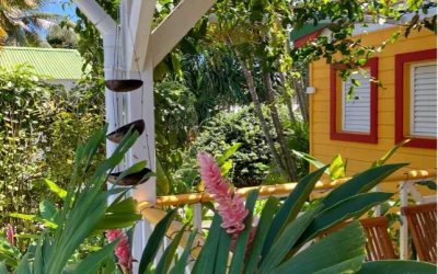 Des vacances de rêve à Sainte Anne en Guadeloupe