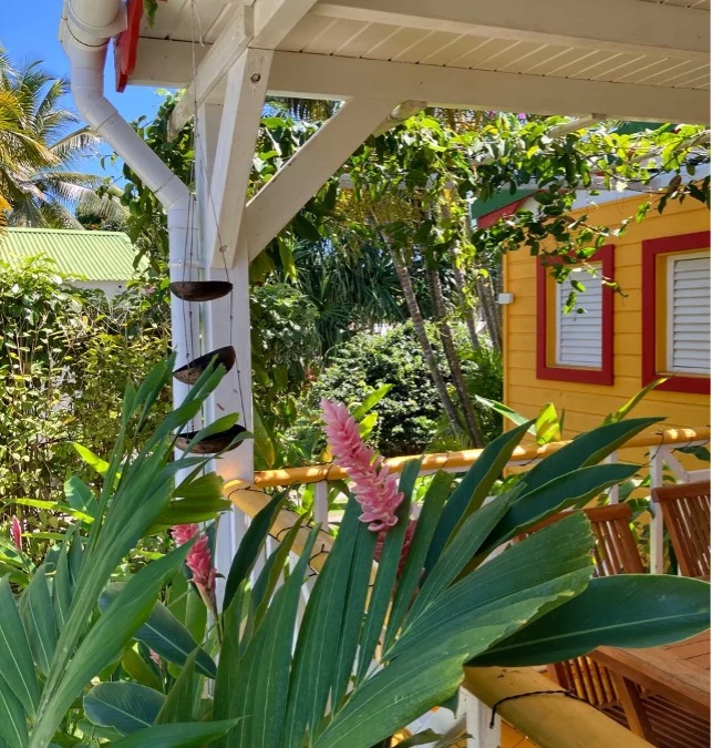 Des vacances de rêve à Sainte Anne en Guadeloupe