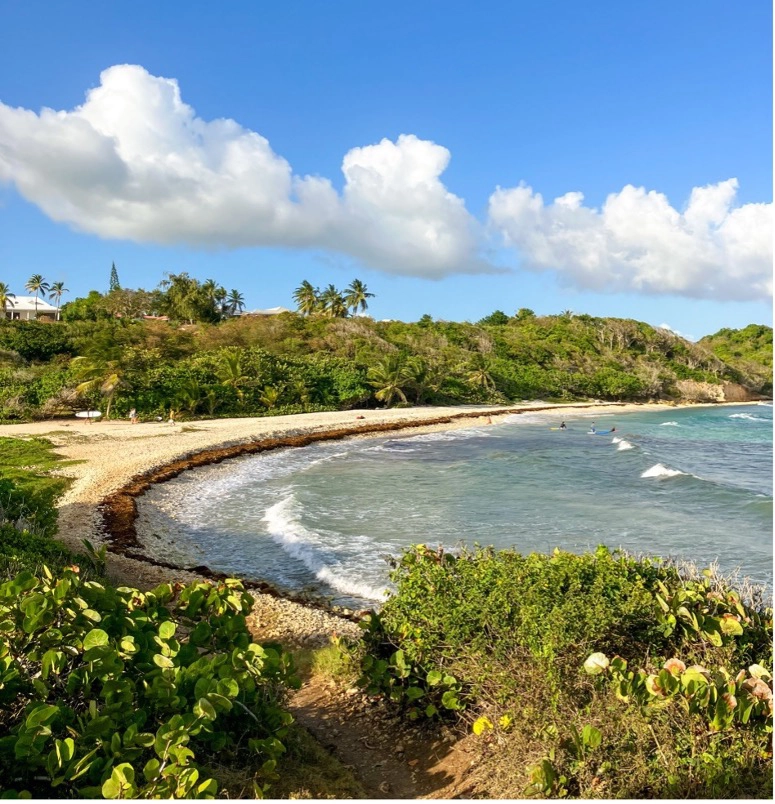 Plage du Helleux guadeloupe