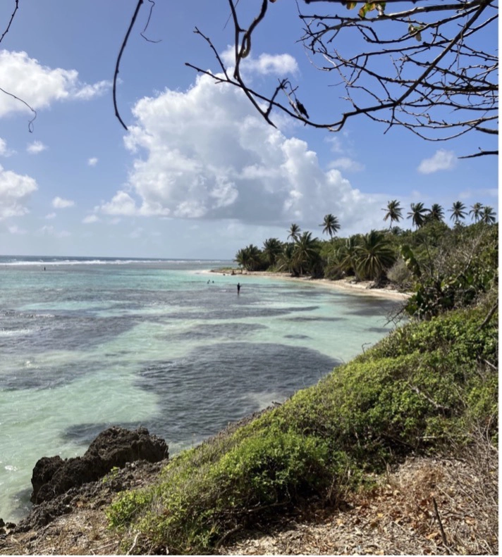 Plage de bois jolan - Guadeloupe