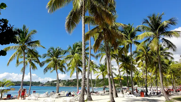 caravelleplage plage caravelle Guadeloupe