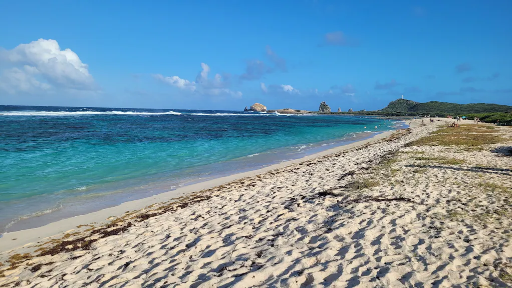plagesalines guadeloupe plage des salines st Francois